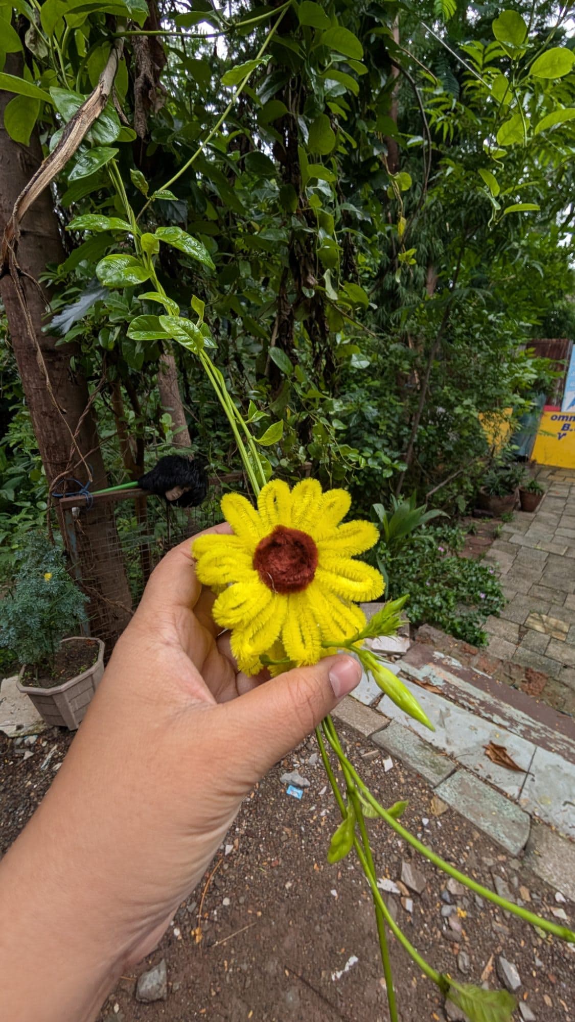 Forever Sunflower Claw Clip